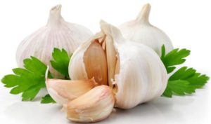 organic garlic